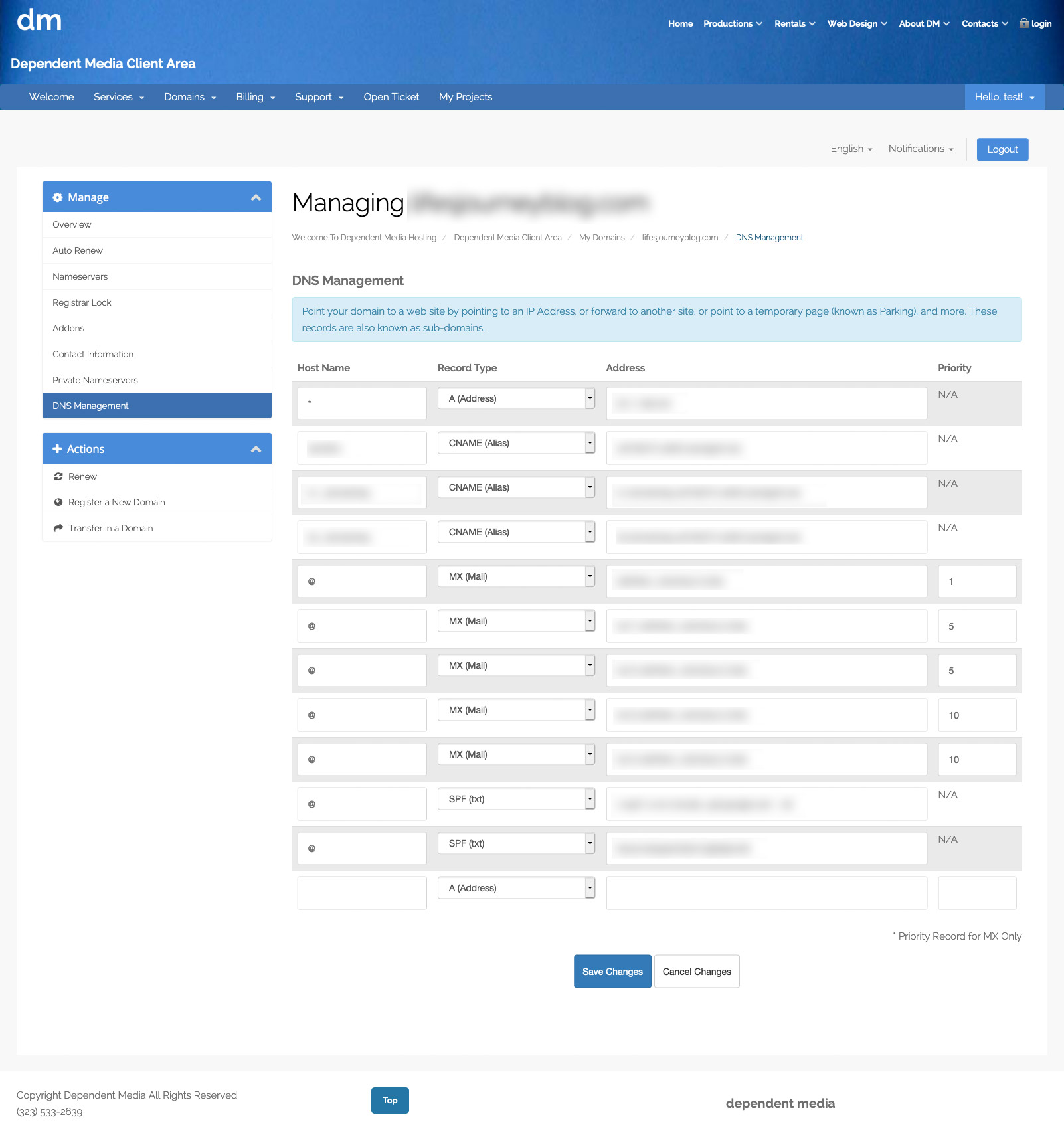 DNS Management page