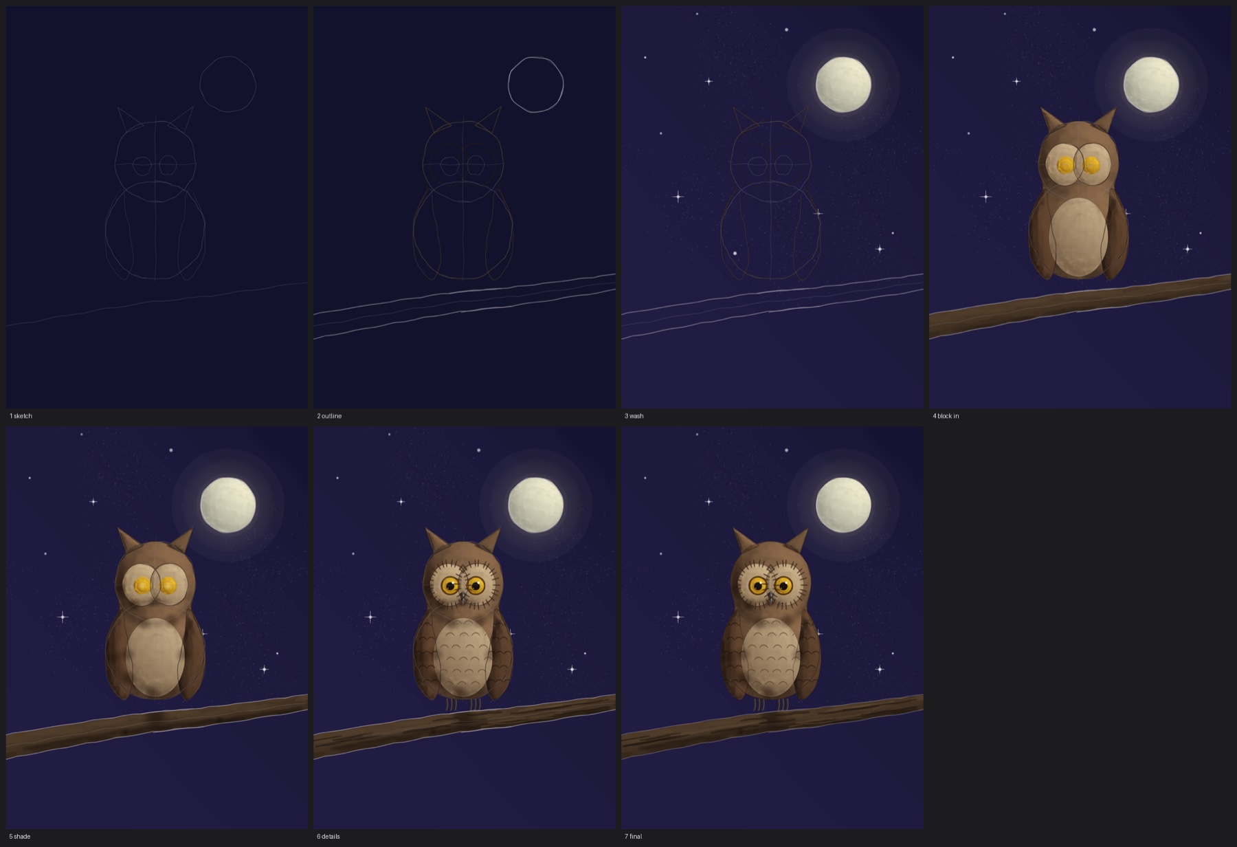 Seven stages of the owl drawing: sketch, outline, wash, block in, shade, details and the finished picture